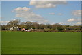 Field on the edge of Pewsey