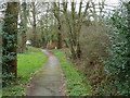 Path, Totteridge Common