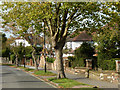 Mapledale Avenue, Croydon