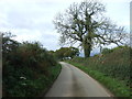 Holly Lane towards Loxley Green