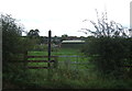 Footpath to Loxley Bank