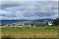 Farm near Benone Beach