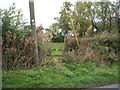 Footpath to Foxholes