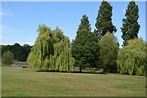 SU8694 : Hughenden Park by N Chadwick