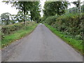 Road heading towards Balloch Mill