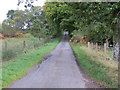 Road from Craggan Camp to Craggan