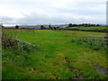 H3181 : An open field, Derrygoon by Kenneth  Allen