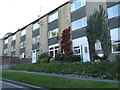 Houses on London Road, Royston