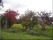 TL3753 : Garden on Lowfields, Little Eversden by David Howard