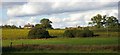 Looking over the River Ore valley, Beversham, from the train