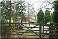 Path out of Great Earls Wood