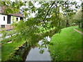 Stream near Lower Road, Lavenham