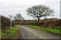 Passing place, Popes Lane