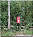 Elizabeth II postbox on Newton Hurst Lane, Dapple Heath