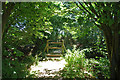 Footbridge over stream