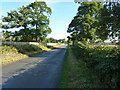 Rhosymadoc lane nearing the A539