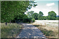 Footpath south of Burys Court