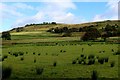 View from the Access Lane to Hay Meadow