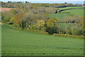 Hedge by the A38