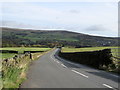 View down Badger Lane