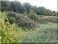 Old quarry near Broomfield Farm