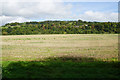 ST7165 : Harvested field near Kelston Park by Bill Boaden