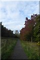 Path over Killinghall Moor