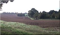 TQ4216 : Fields near to Boast Lane by Chris Thomas-Atkin