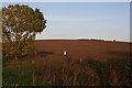 Fields off Normanton Road, Bottesford