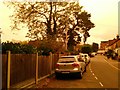 Overcast skies on Green Hedges Avenue