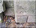 Ordnance Survey Cut Mark