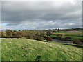 River Tees near Newsham