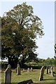 TF0246 : St Peter's Church: churchyard tree by Bob Harvey