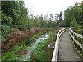 Pond in Sandbach Park