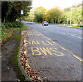 Railway Station bus stop, Dinas Road, Dinas