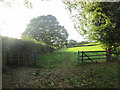 Chess Valley Walk towards Blackwell Farm