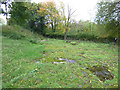 Site of the former Sandbach waterworks (1)