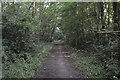 Footpath, Downley Common