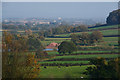 Sedgemoor : Countryside Scenery