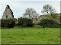 H6802 : Ruined church at Killan by Oliver Dixon