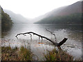 T1096 : Upper Lake at Glendalough (set of 2 images) by Gareth James