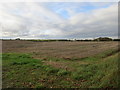 Stubble field, Rauceby Heath