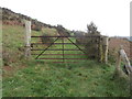 "No through road": footpath, Abertridwr