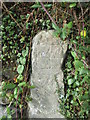 Inscribed early Christian pilgrim cross, Tregarth