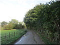 Driveway to Hall Farm