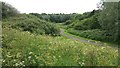 Path in Woodgate Valley Country Park