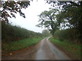 Lane towards South Creake