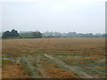 Stubble field near County Farm