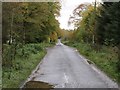 Wet road near Kinnordy