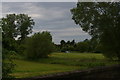 SU6189 : Water-meadows by the Thames, from Wallingford Bridge by Christopher Hilton